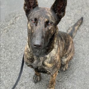 Meet your Posher, Mike